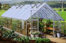Serre en polycarbonate Balance 3,04 x 9,64 m Palram - Canopia